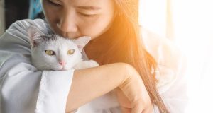 Pets to relieve depression and anxiety